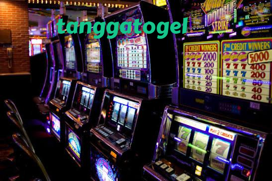 tanggatogel slide 1