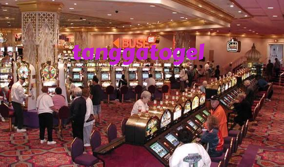 tanggatogel Live Dealer Tables at Your Fingertips
